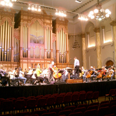 Orch Adelaid.JPG
